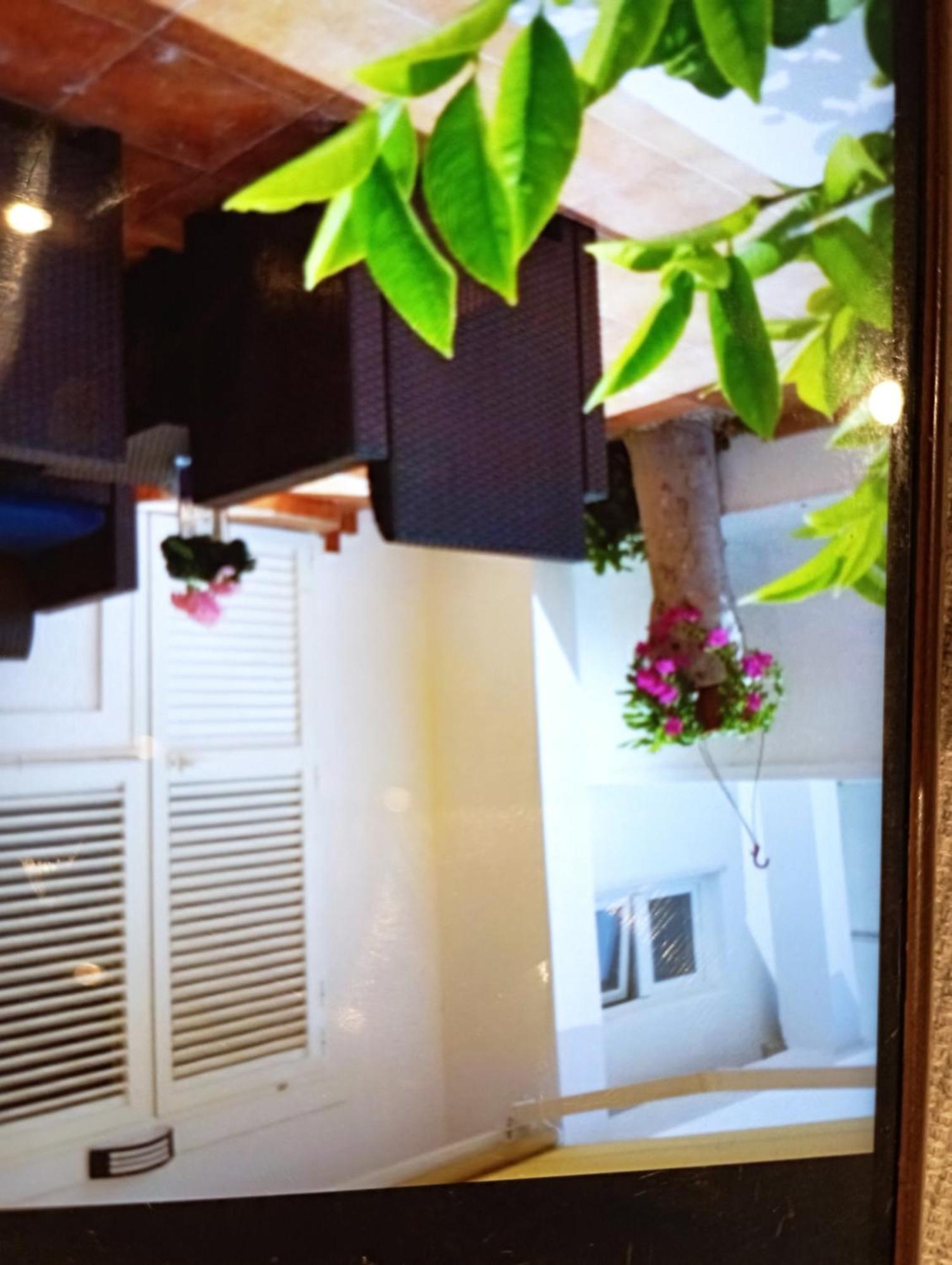 Apartmani Trubi 1 Водице Экстерьер фото